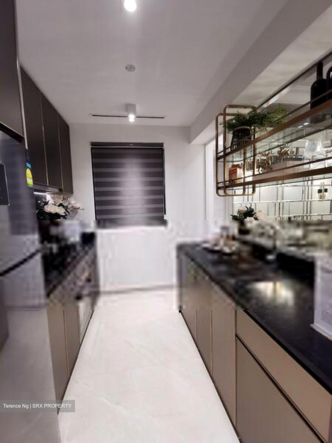 Normanton Park (D5), Apartment #408763491